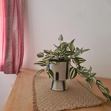 Apartma Trobentica 15 Apartment Moravske Toplice