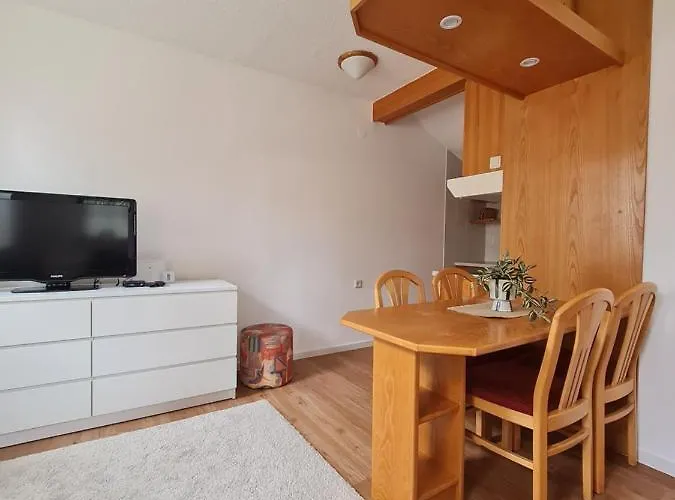 Apartma Trobentica 15 Apartment