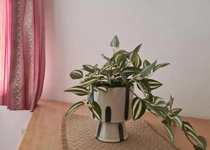 Apartma Trobentica 15 Apartment Moravske Toplice