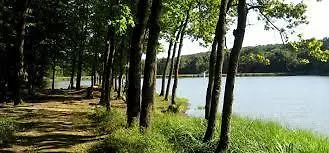 Apartma Trobentica 15 * مورفسكه تيبليتسه